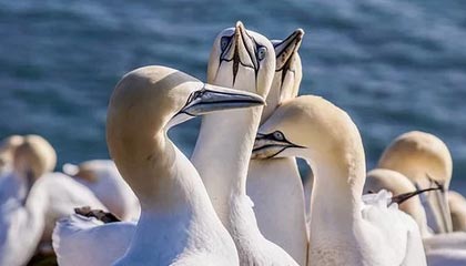 星空体育APP-英雄联盟S12总决赛决赛激战正酣，现场气氛火爆，s12总决赛lpl