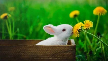 星空体育在线-热刺攻守不给力，欧战资格岌岌可危，欧联赛热刺